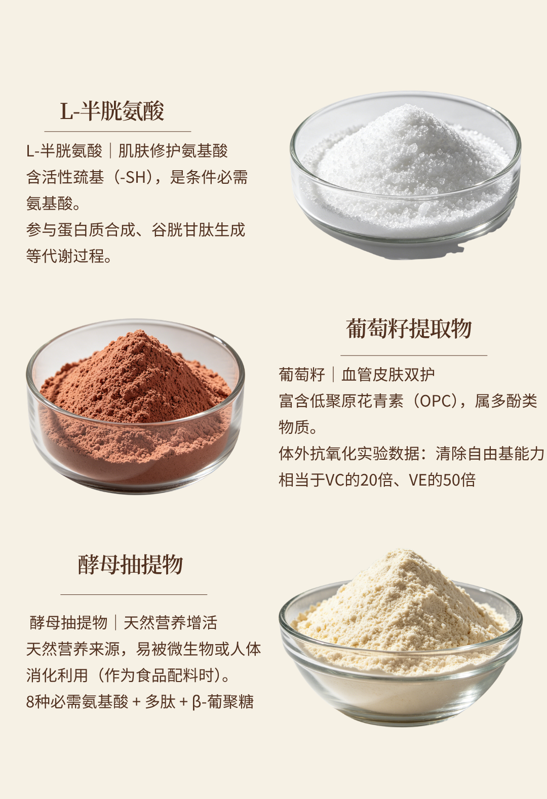微信图片_20260611101550_444_35
